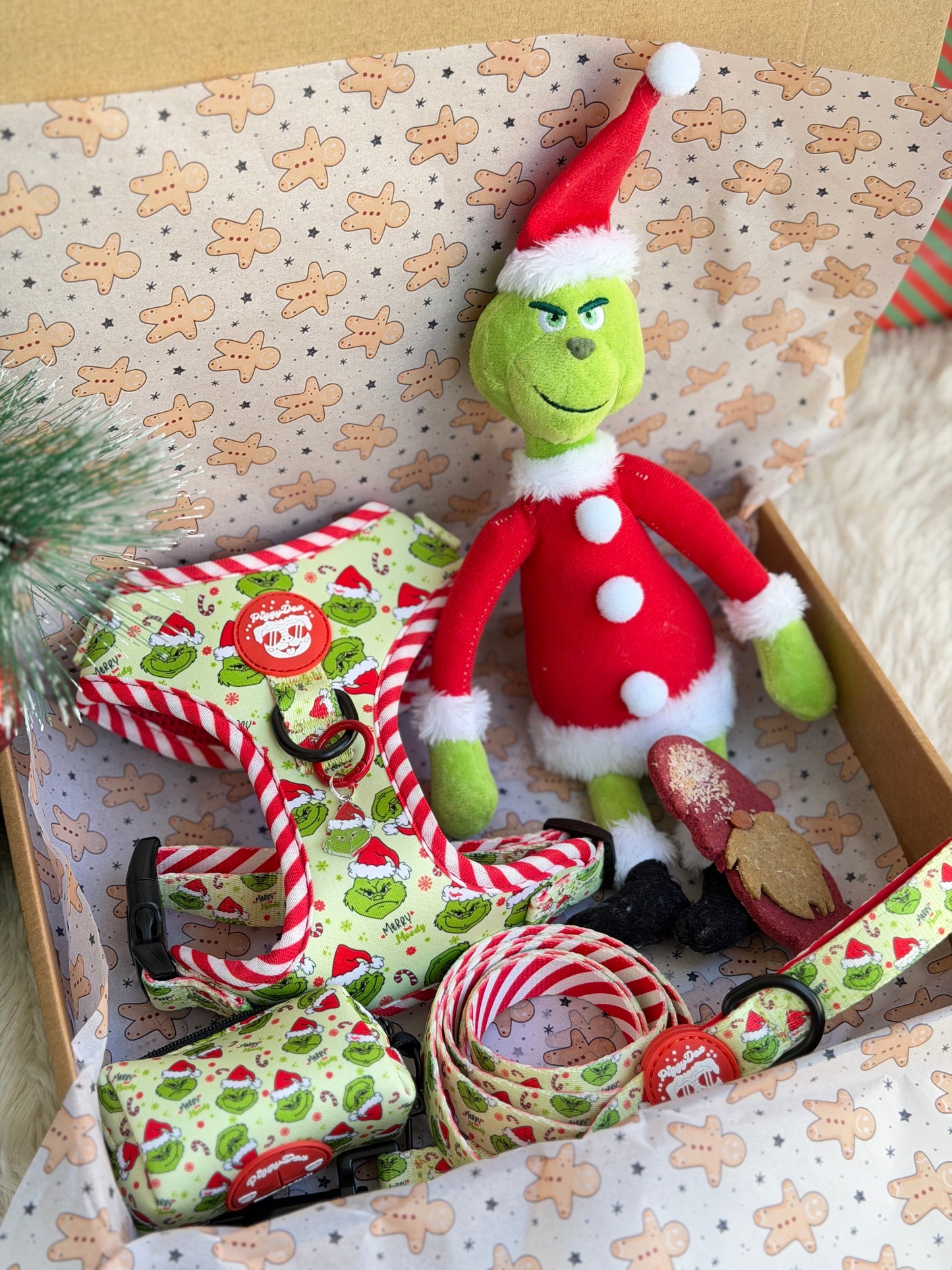 Pack harness + leash + poopbag holder PUMPKIN PATCH