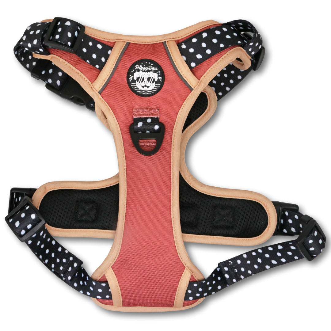 Comfort Trail harness DOTTIE CHIC