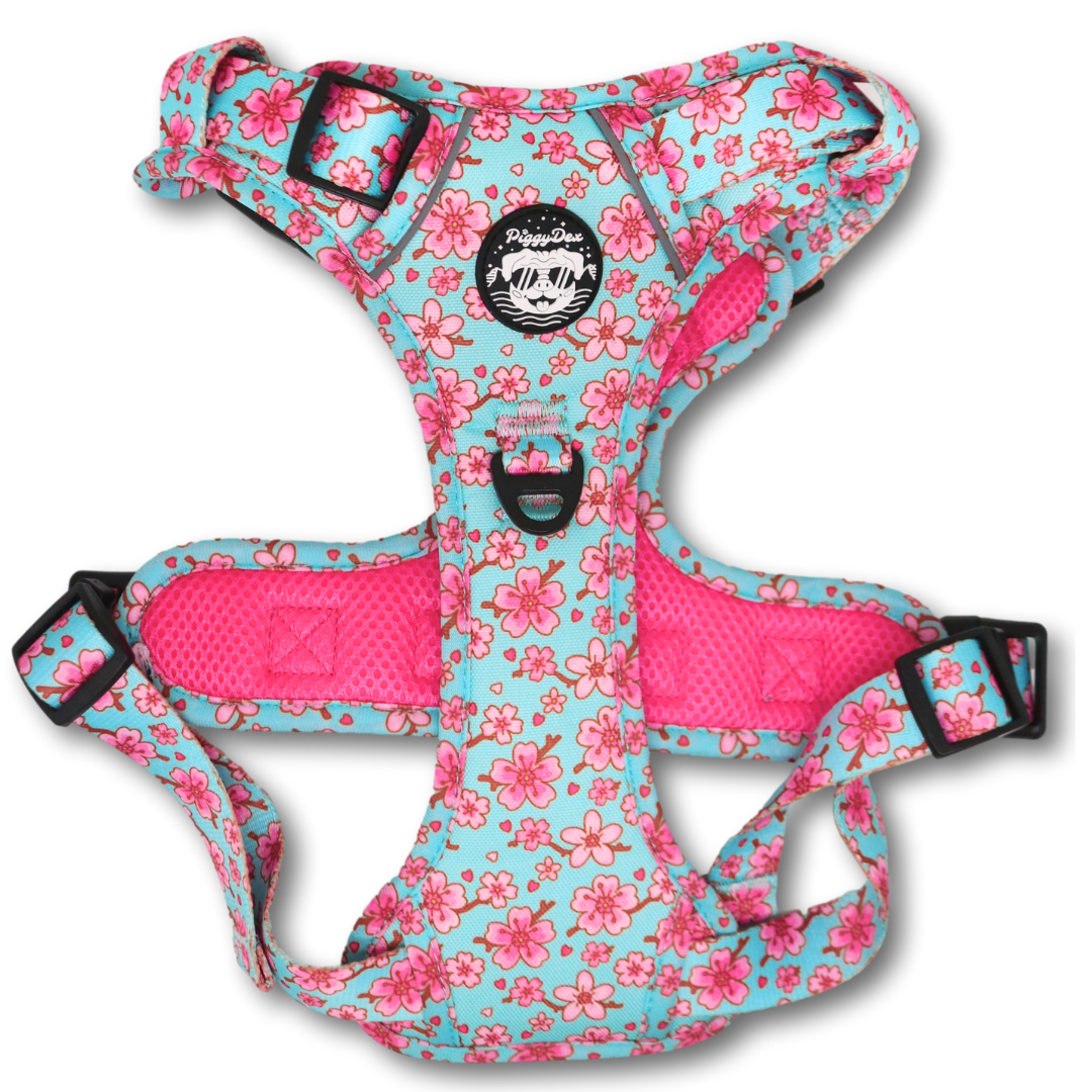 Comfort Trail harness SAKURA