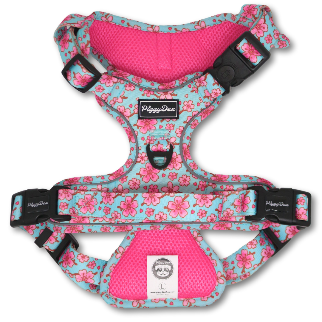 Arnés Comfort Trail SAKURA