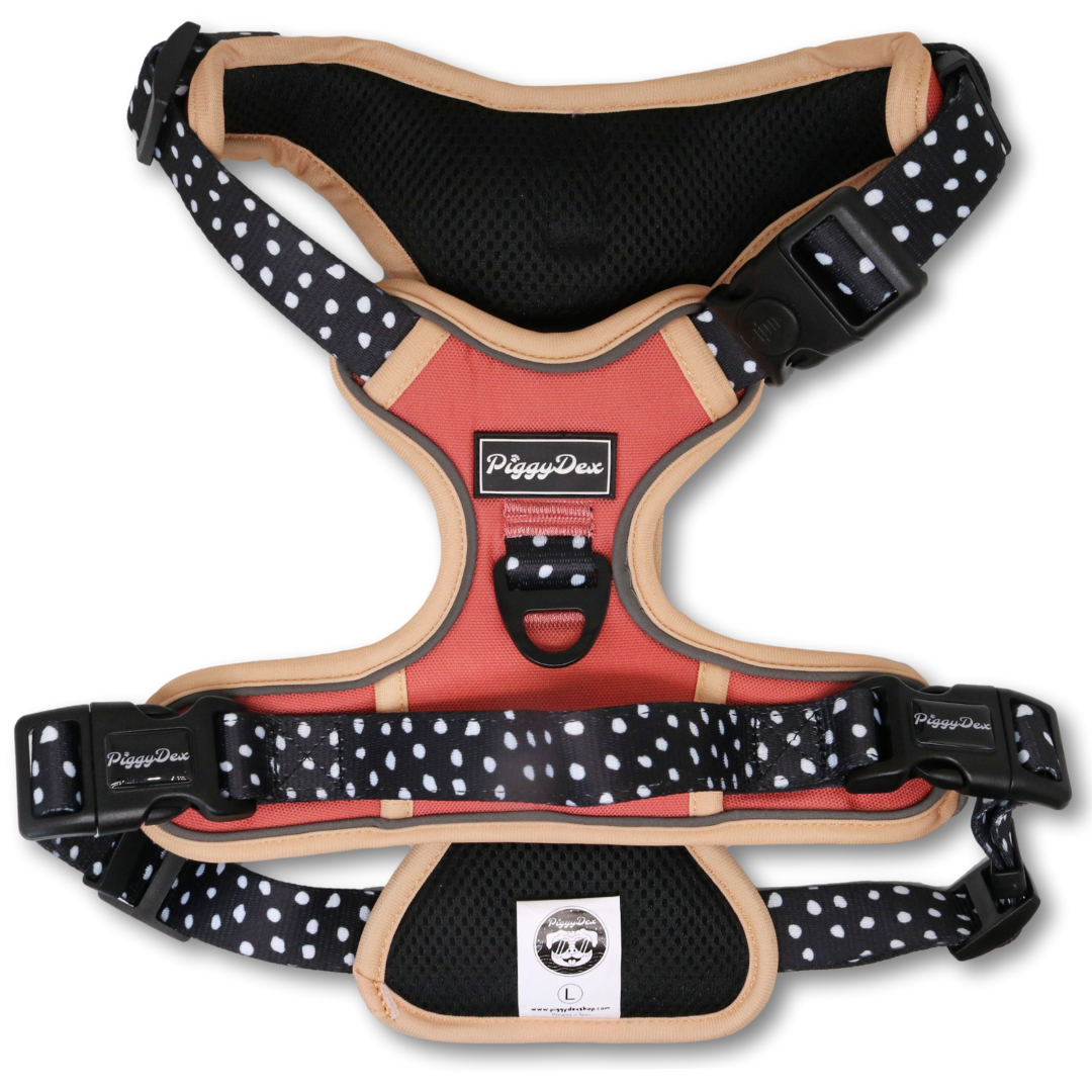 Comfort Trail harness DOTTIE CHIC