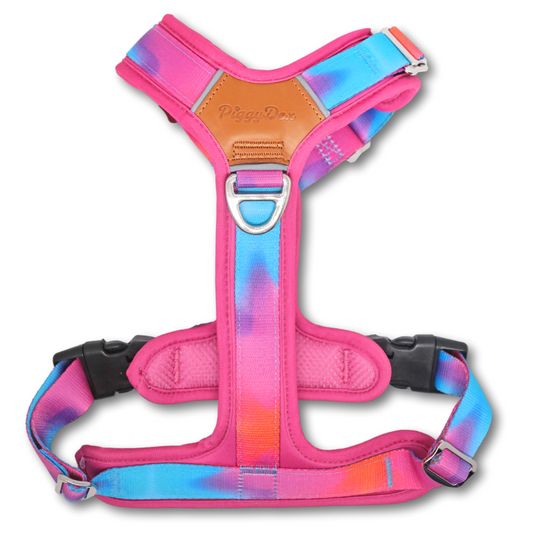 FreeWalk Harness SUNRISE