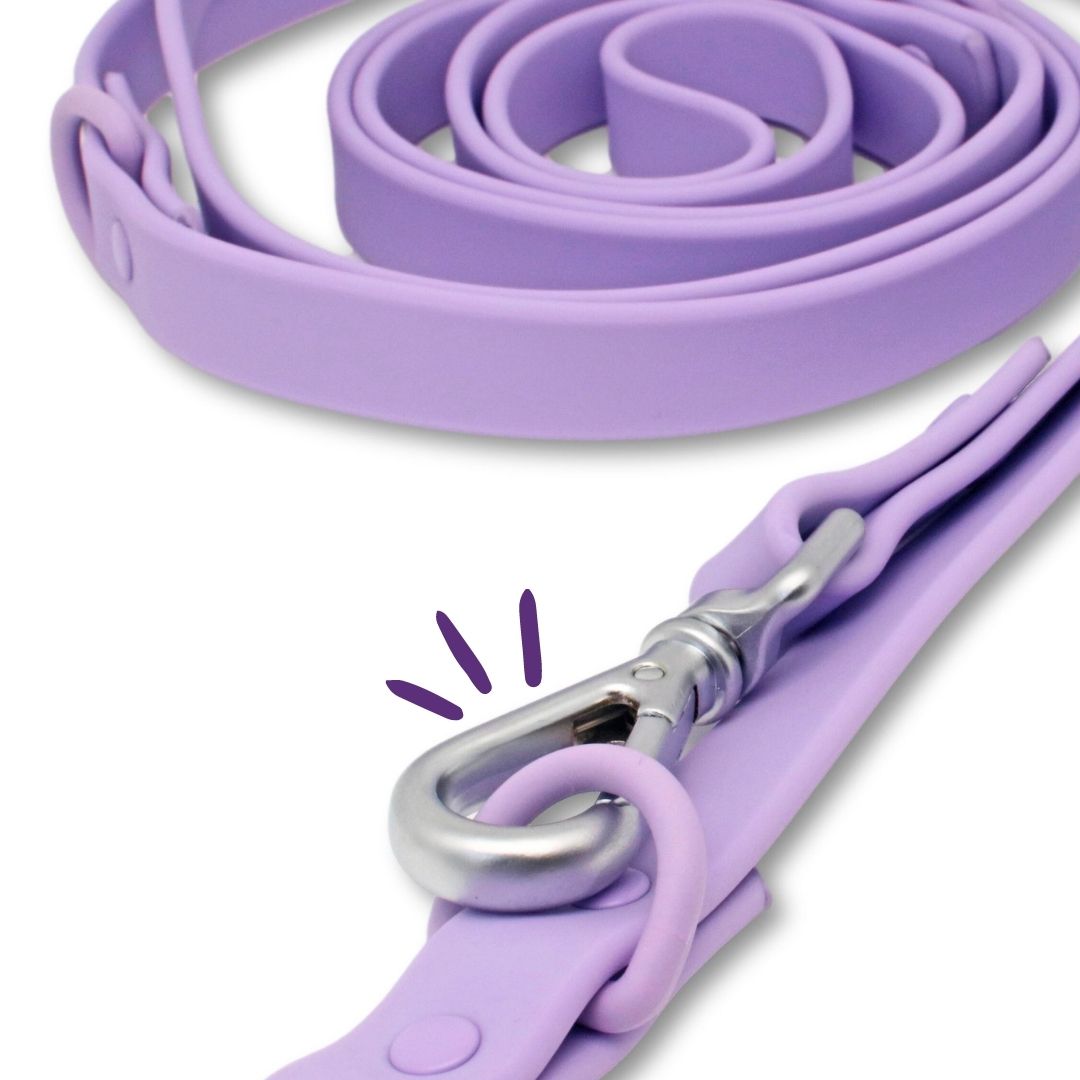 LILAC Waterproof Multiposition Leash