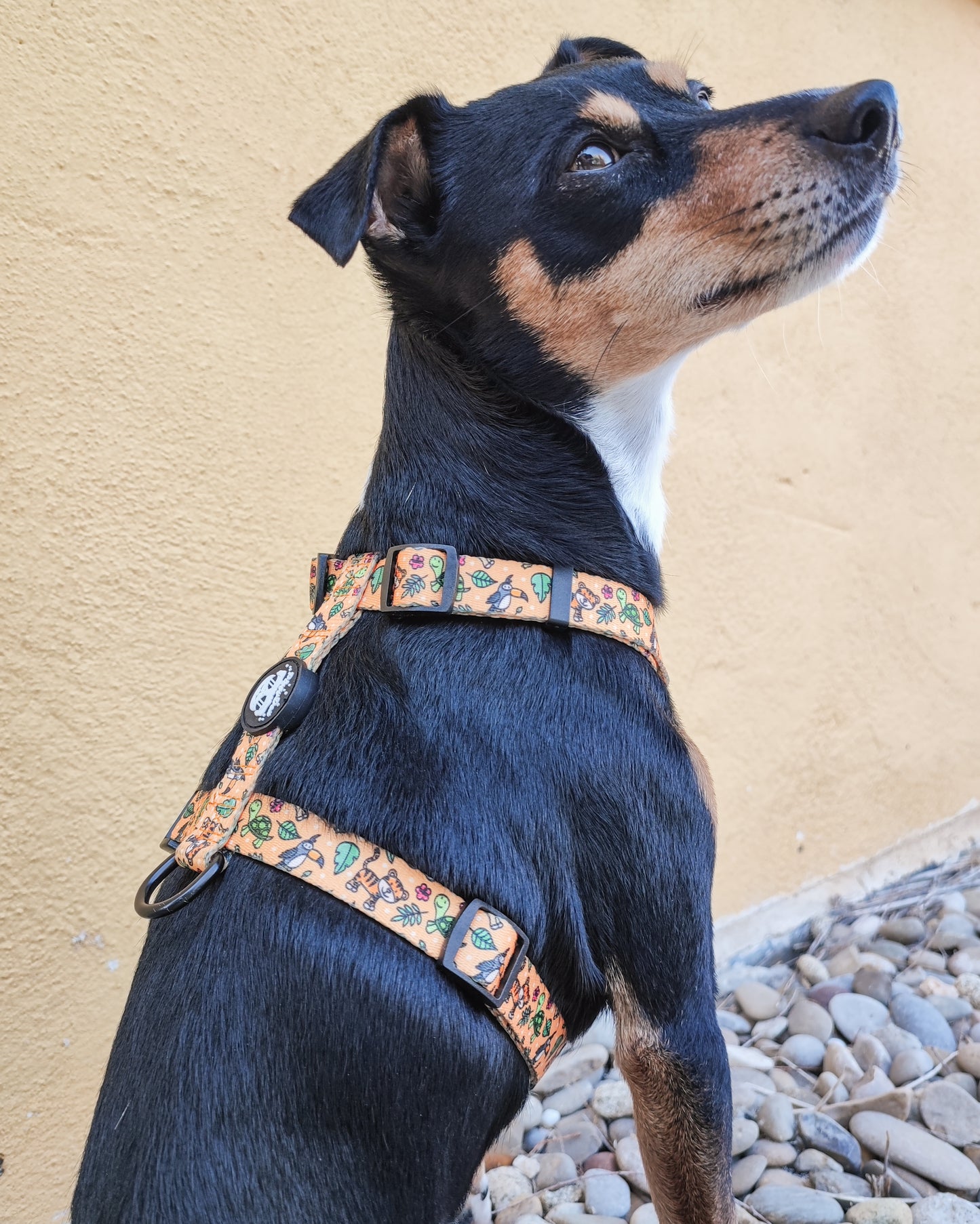 Pack H-harness + leash + poopbag holder IN THE JUNGLE