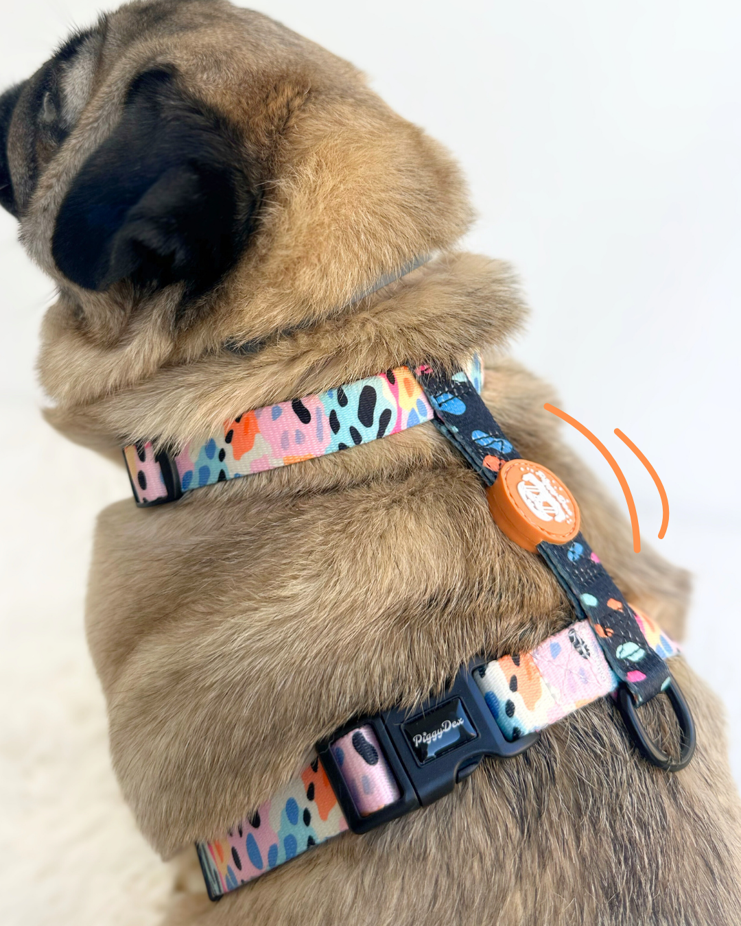 Pack H-harness + leash + poopbag holder WILD PRINT