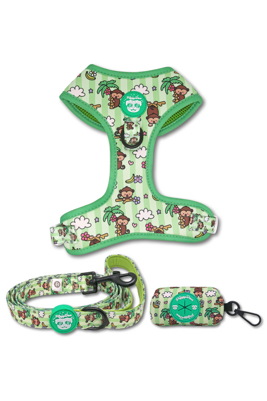 Pack harness + leash + poopbag holder MONKEYS