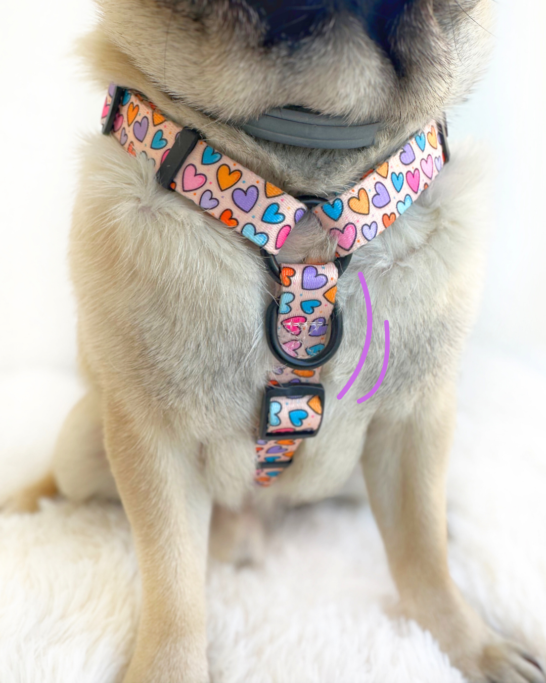 Pack H-harness + leash + poopbag holder HEARTS