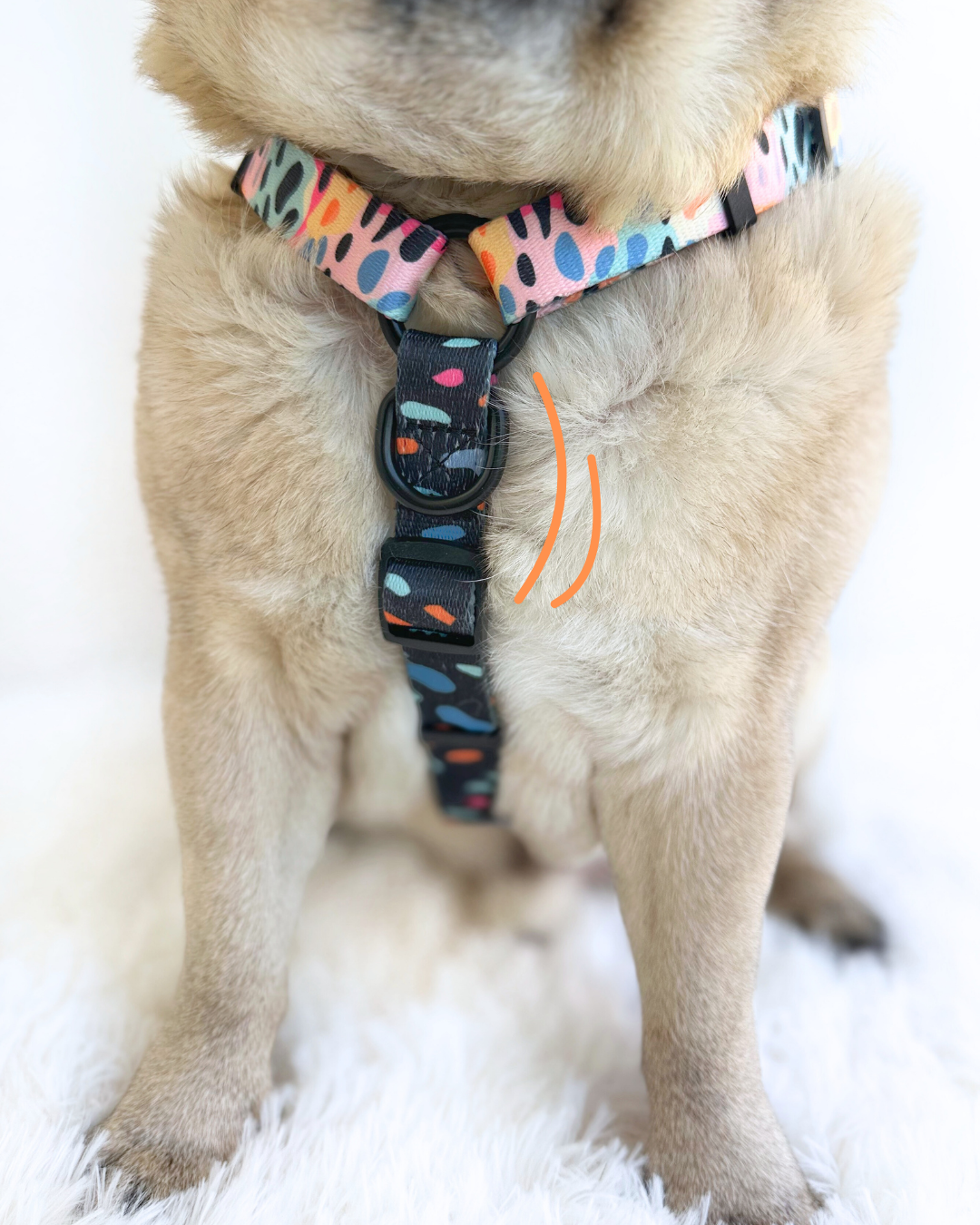 Pack H-harness + leash + poopbag holder WILD PRINT