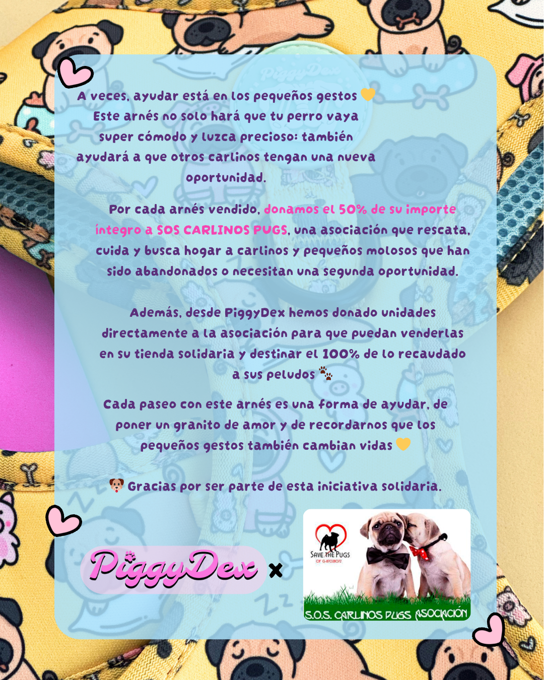 Arnés ajustable PUGS · Solidario