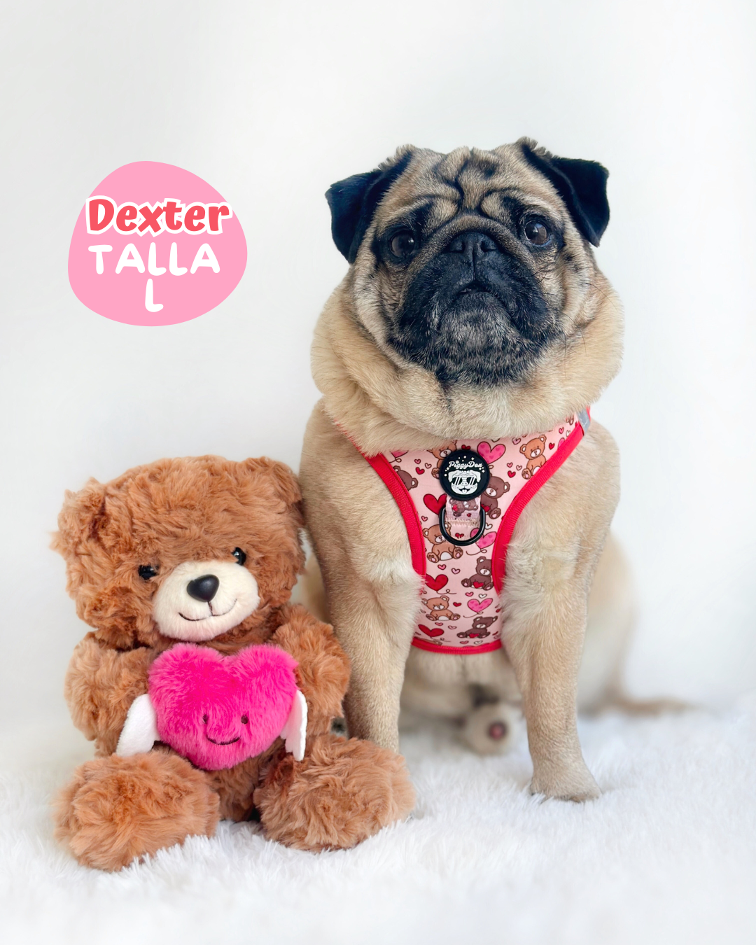 Pack arnés body + correa + portabolsas TEDDY LOVE