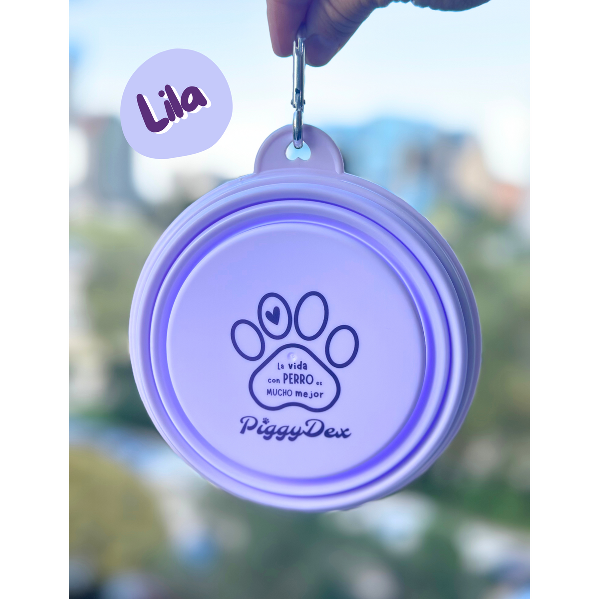 Portable Dog Bowl (2 colors)