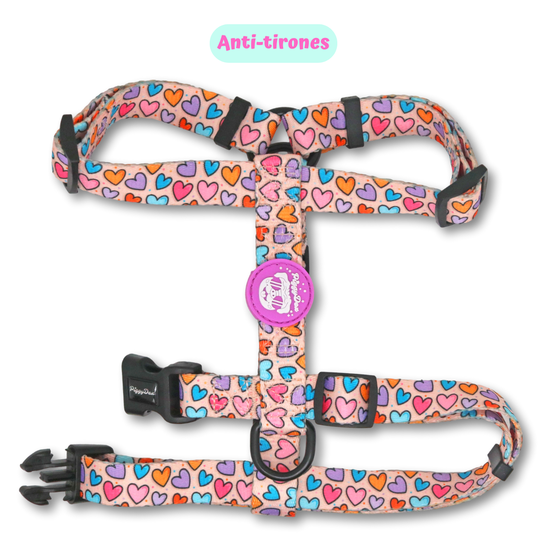 Pack H-harness + leash + poopbag holder HEARTS
