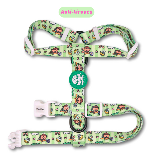 H-harness MONKEYS