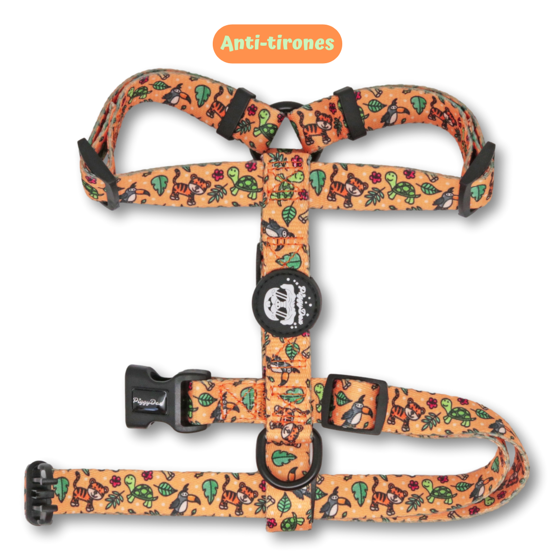 Pack H-harness + leash + poopbag holder IN THE JUNGLE