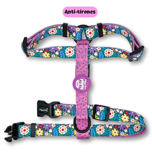 H-harness FLOWER FLOW