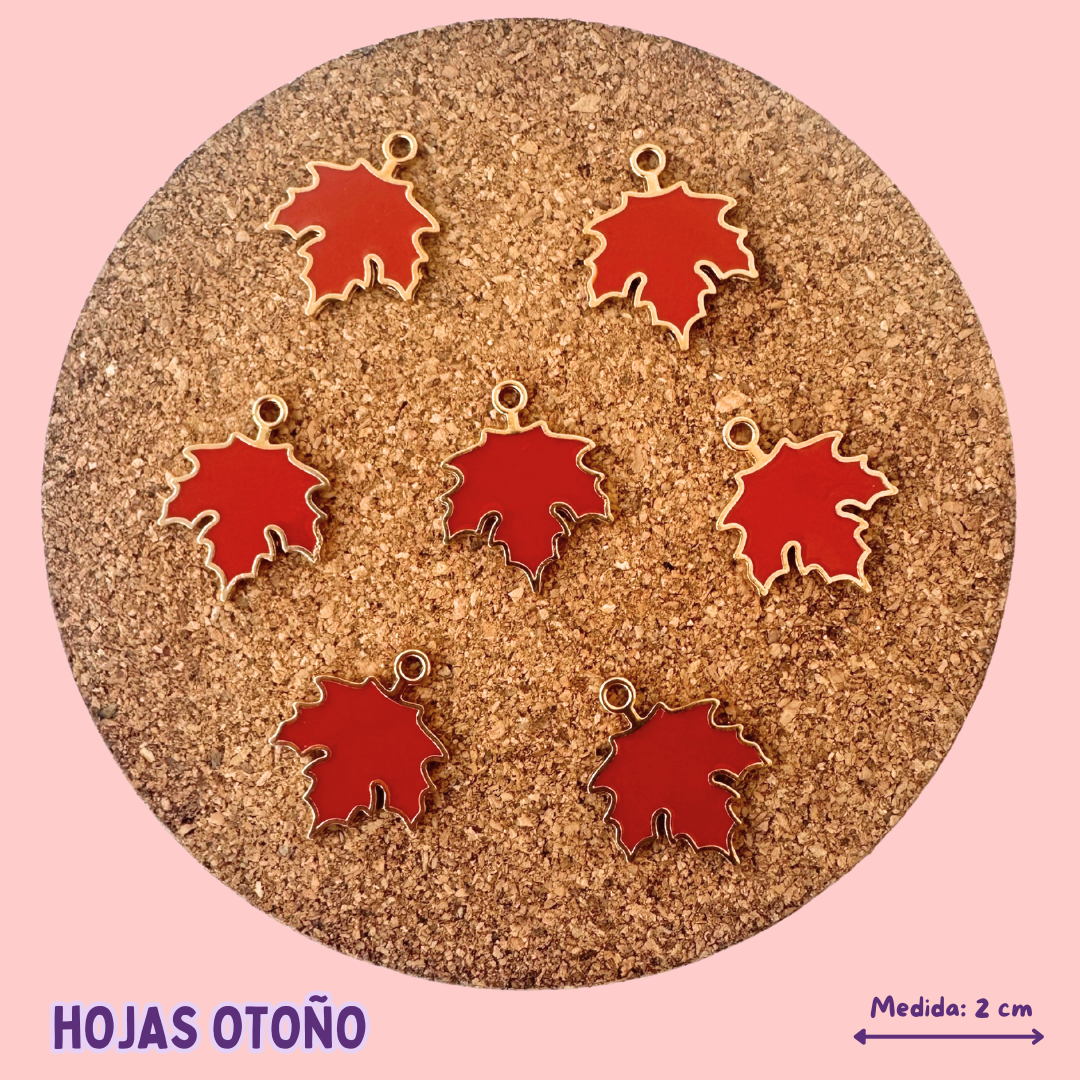 Añade un CHARM a tu CHAPA QR (+30 diseños)