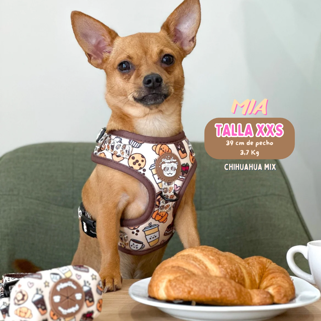 Arnés ajustable DUNKIN DOGS
