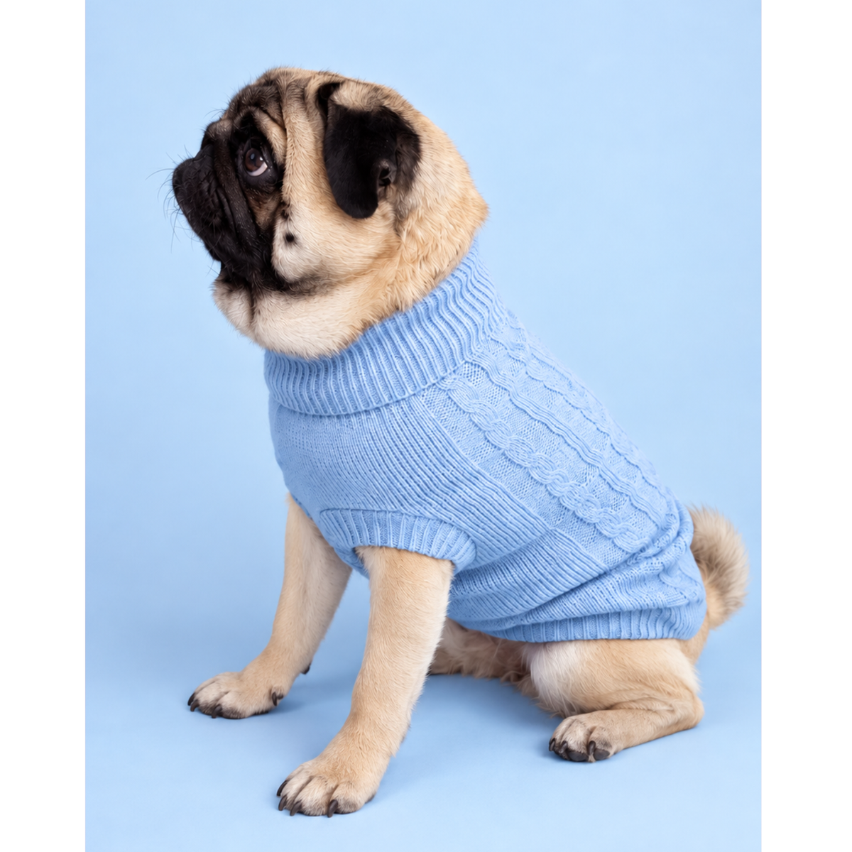 Jersey Basic para perro - 5 colores