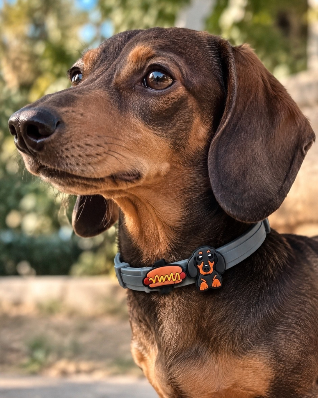 Decorative charms for Seresto collars - 28 designs