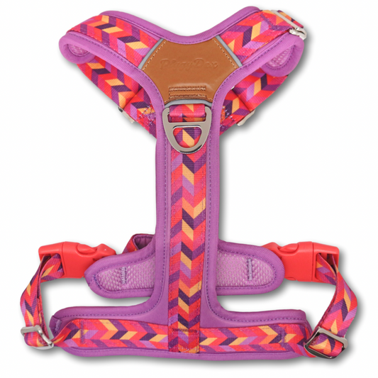 FreeWalk Harness ZIGGY TWIST