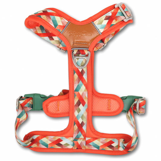FreeWalk Harness RETRO VIBES