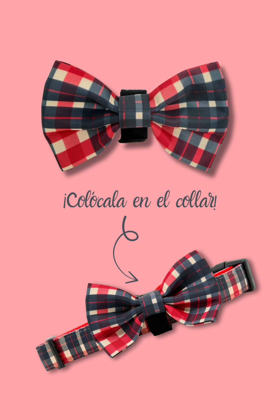 Pack Collar + leash + poopbag holder TERRAZZO POWER