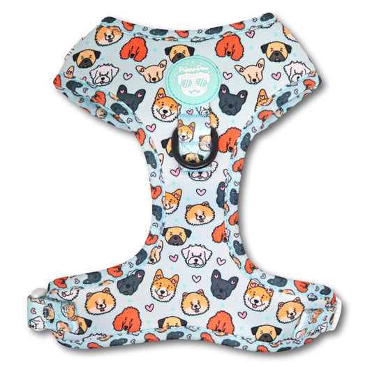 Adjustable harness DUNKIN DOGS