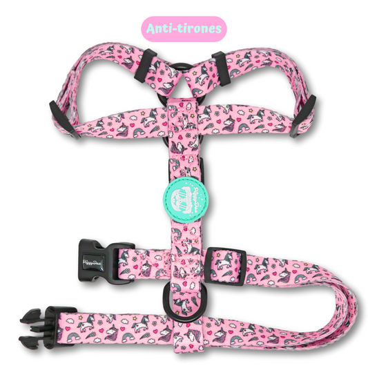 H-harness UNICORNS