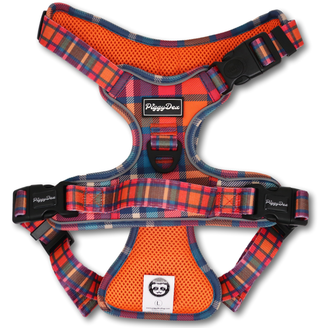 Arnés Comfort Trail TARTAN POP