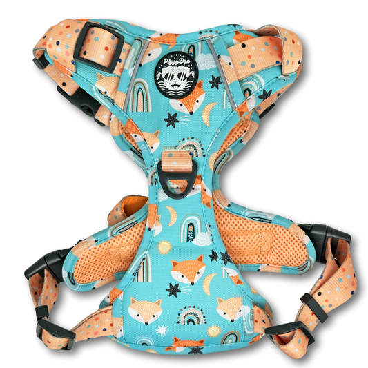Comfort Trail harness FOX & RAINBOWS