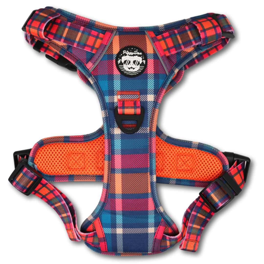 Arnés Comfort Trail TARTAN POP