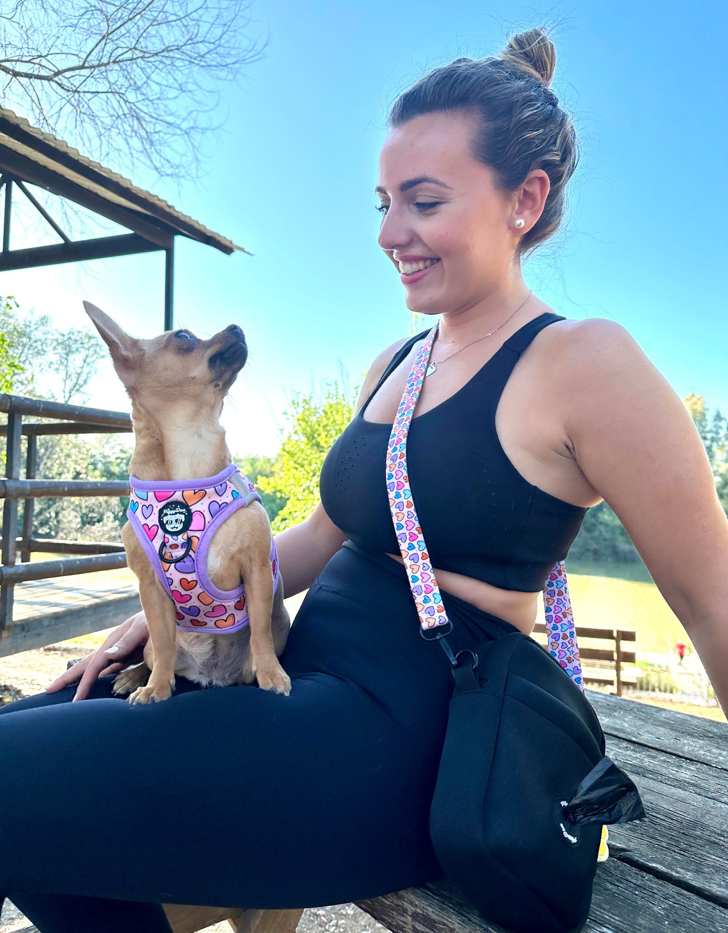 Bolso de paseo negro (con cinta)