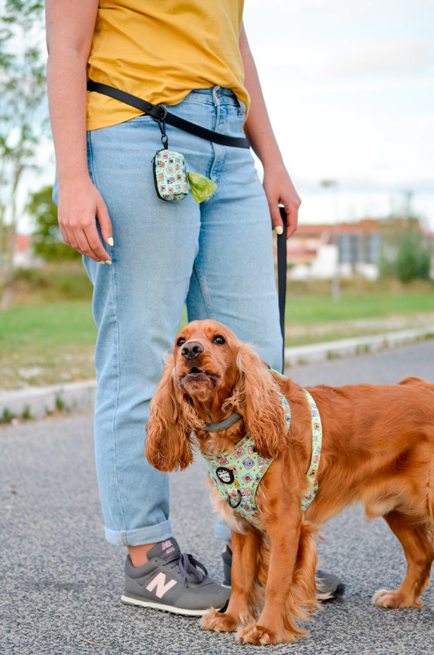 BLACK Waterproof Multiposition Leash