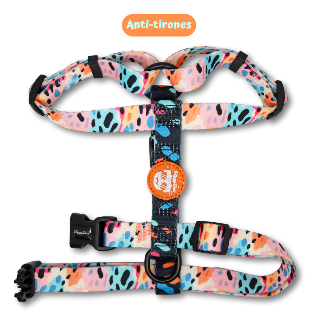 Pack H-harness + leash + poopbag holder WILD PRINT