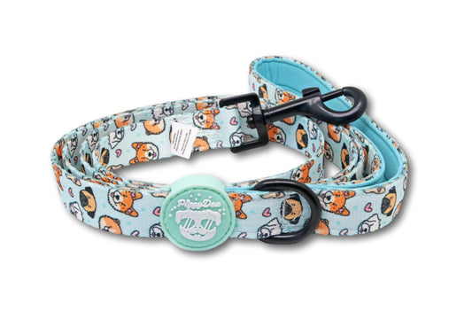 Leash DUNKIN DOGS