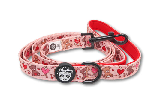 Leash TEDDY LOVE