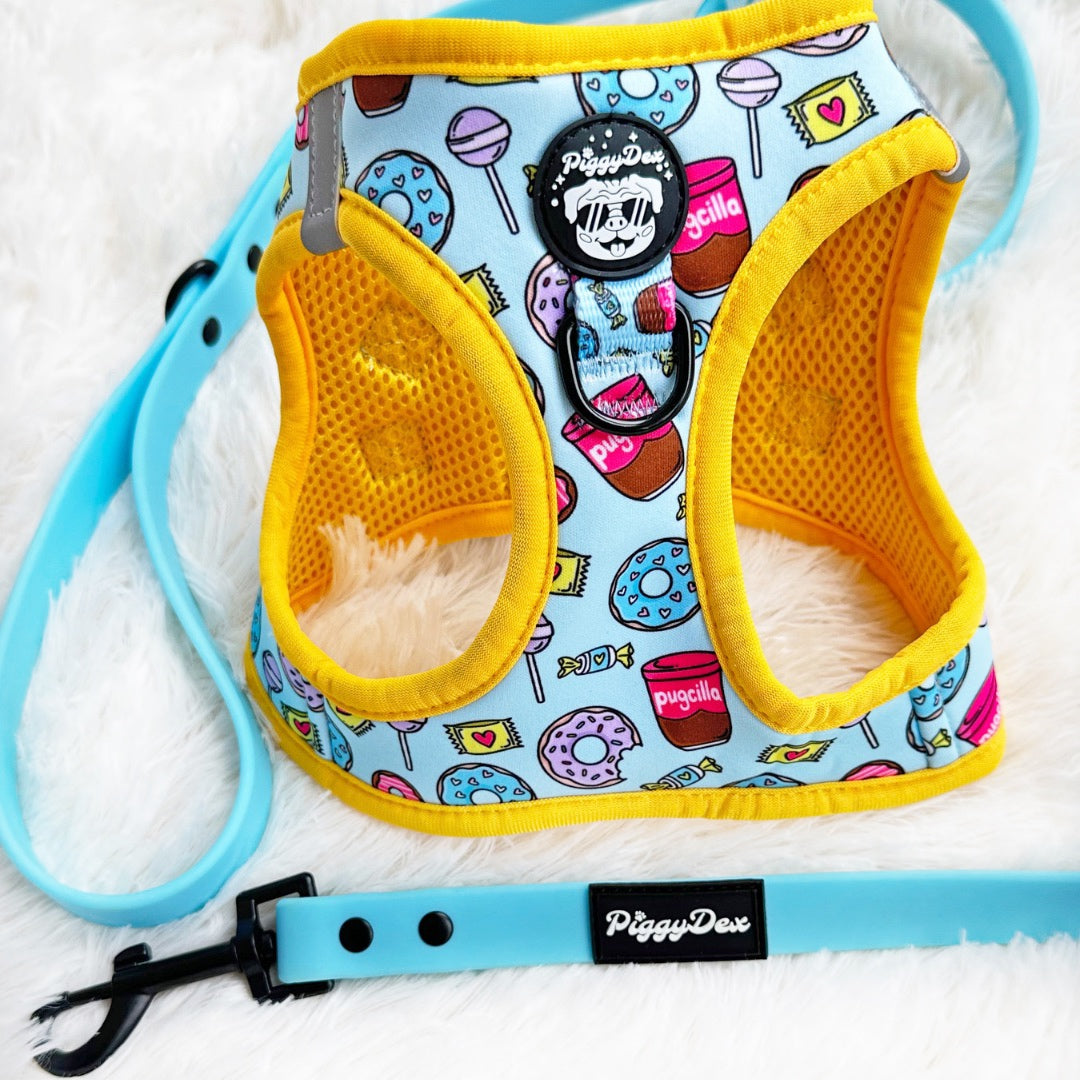 Correa impermeable Azul