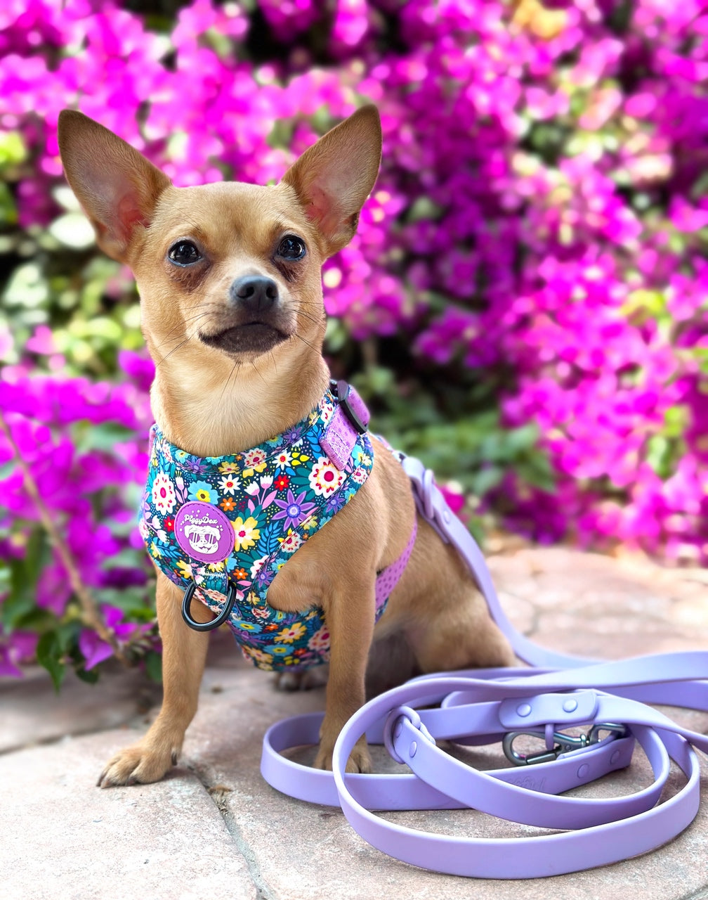 LILAC Waterproof Multiposition Leash