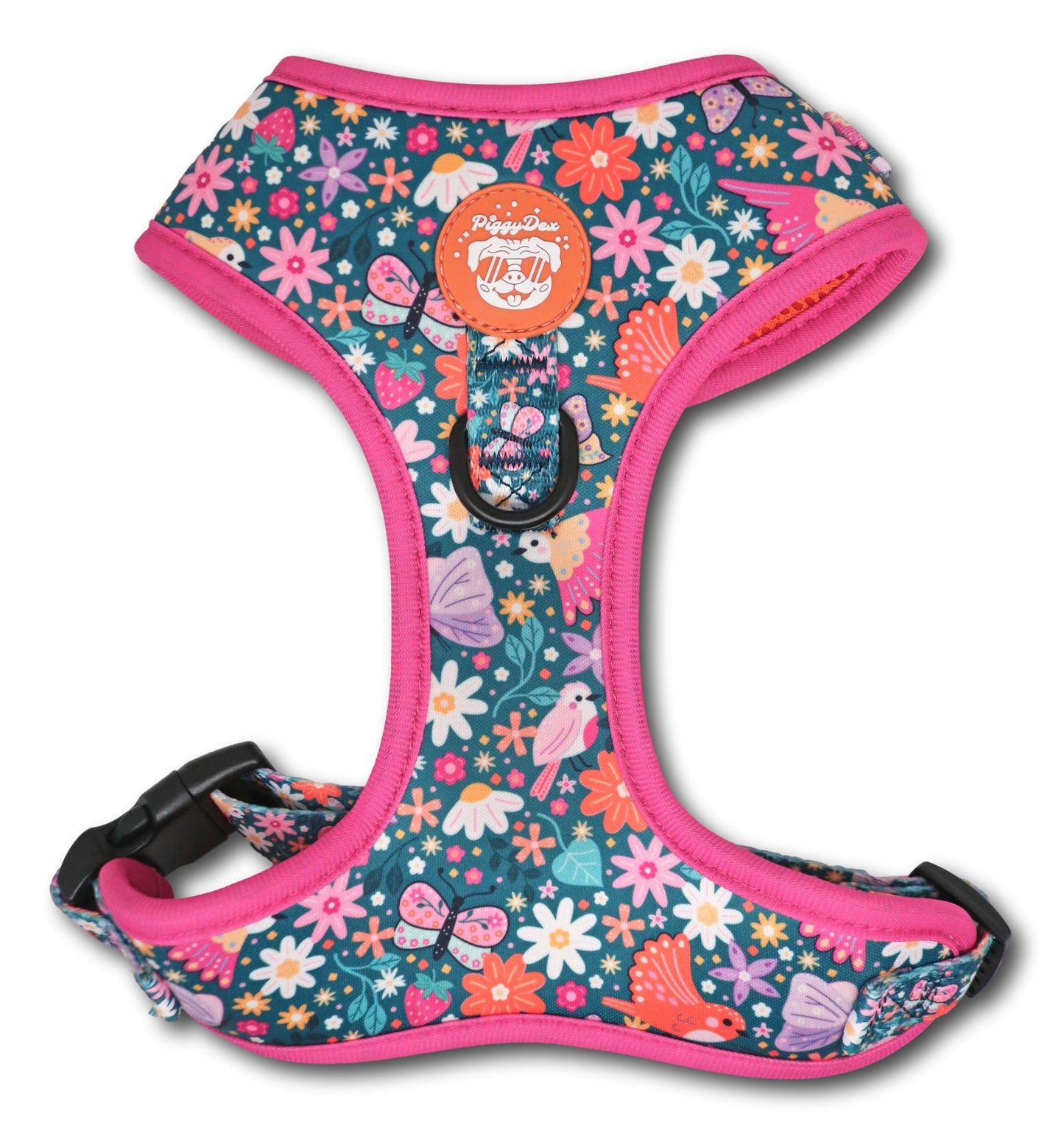 Pack harness + leash + poopbag holder PUMPKIN PATCH