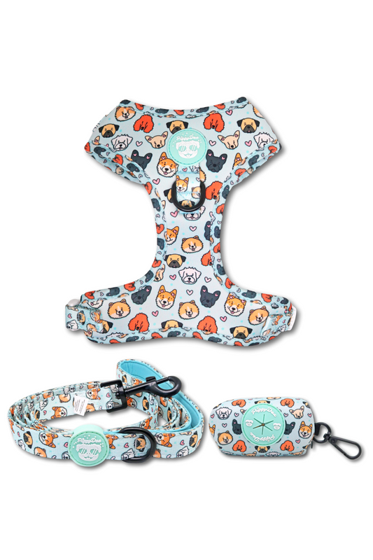 Pack harness + leash + poopbag holder DOGS