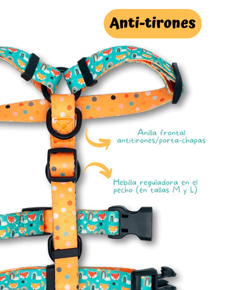 Pack H harness + leash + poopbag holder FOX&RAINBOWS