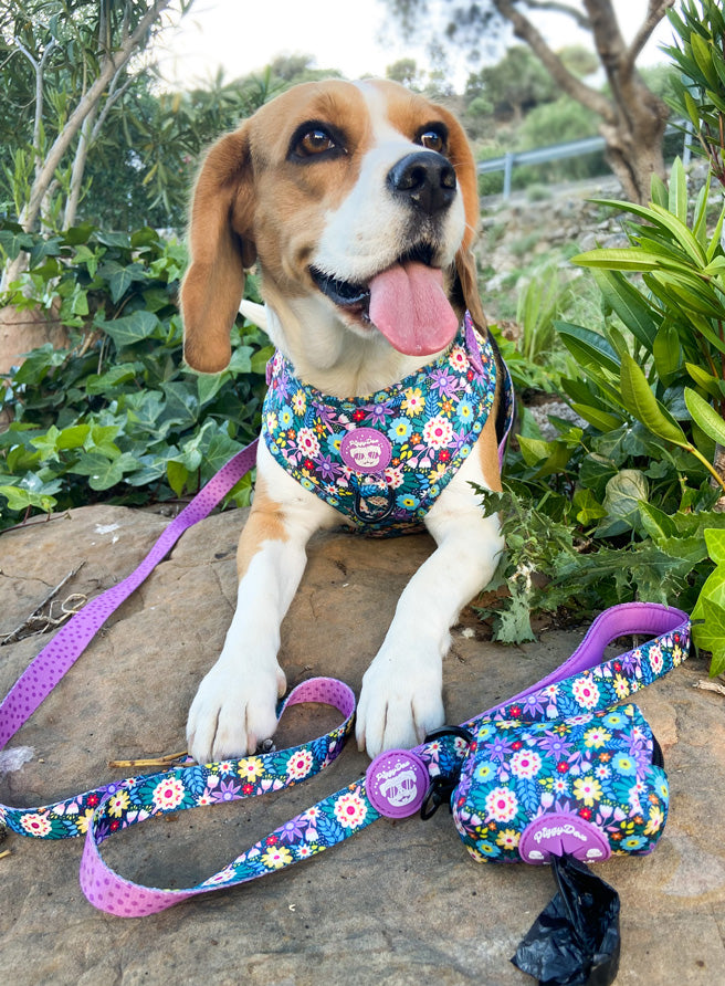 Pack Harness + leash + poopbag holder FLOWER FLOW