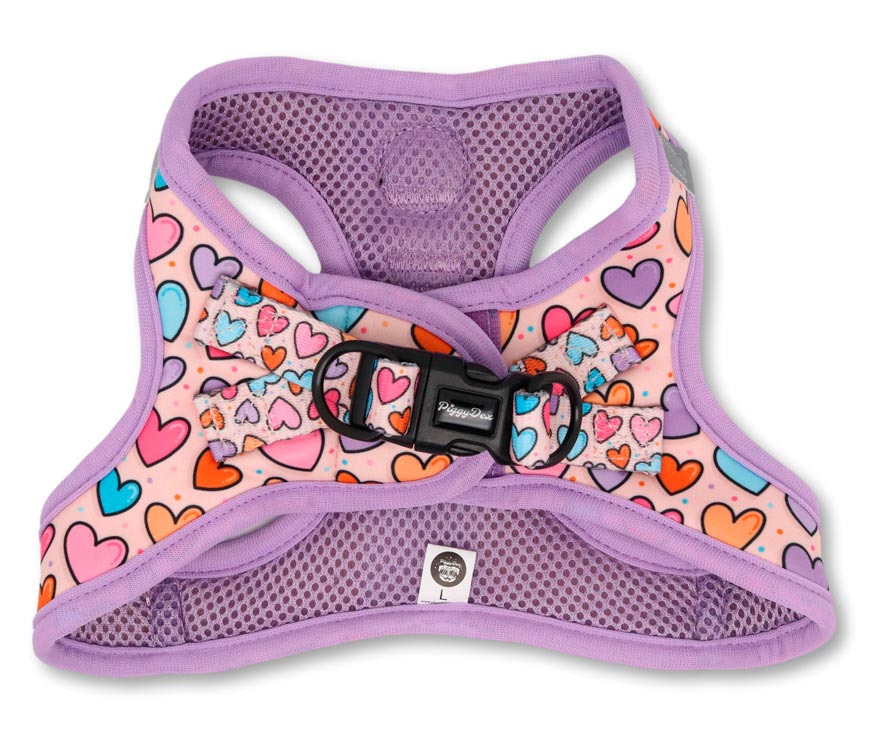 Pack arnés body + correa + portabolsas HEARTS