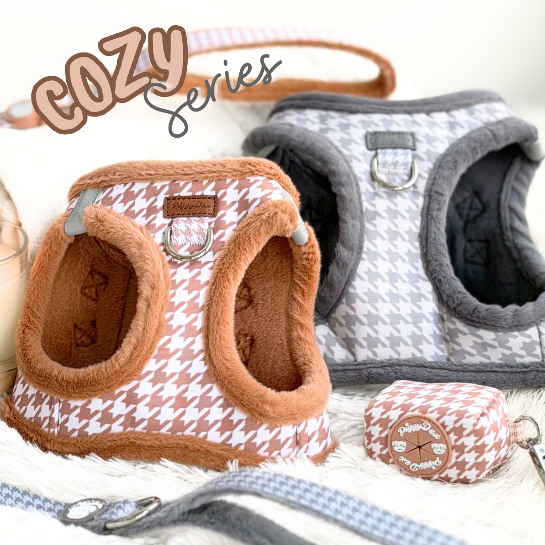 COZY Series