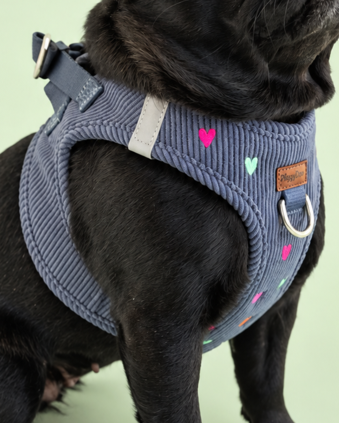 Step-in harness + leash + poopbag holder PANA LOVE