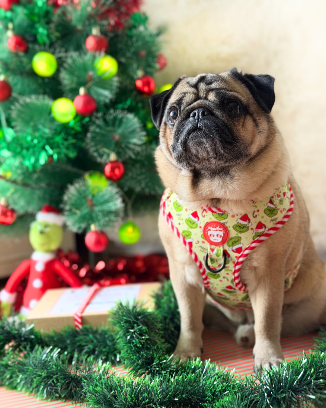 Pack Navidad - Edición Especial MERRY BUT MOODY