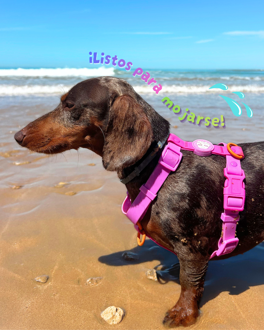 Arnés Waterproof ROSA LILAC