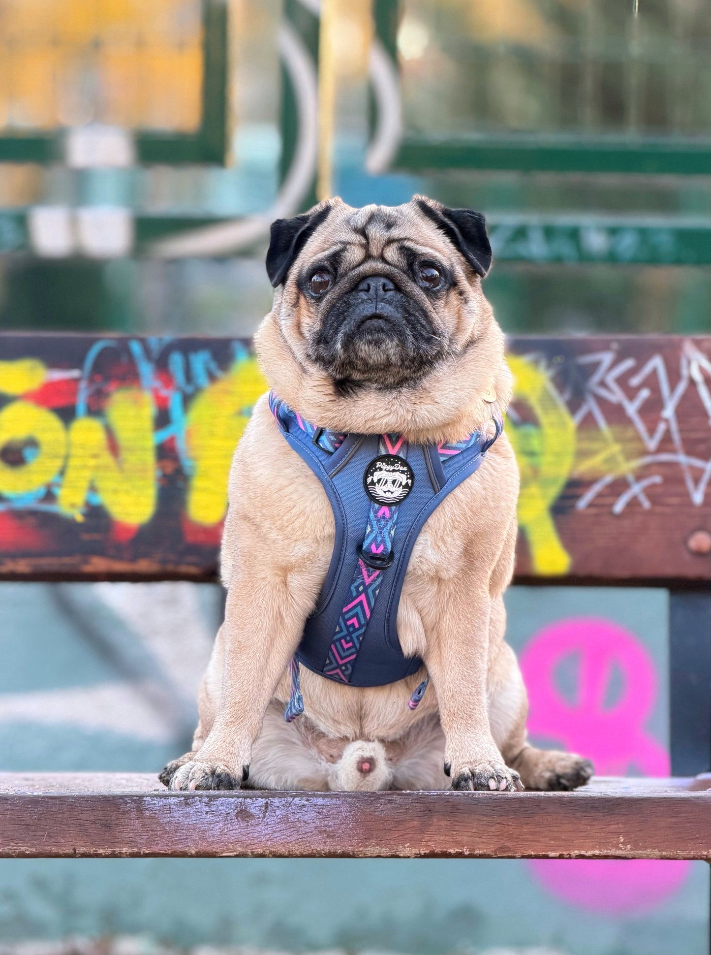 Comfort Trail harness MONKEYS