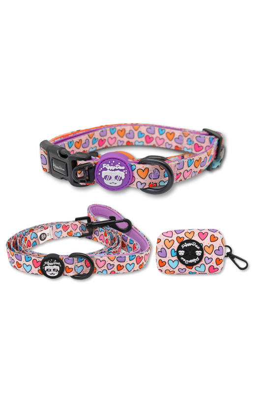 Pack collar + correa + portabolsas HEARTS