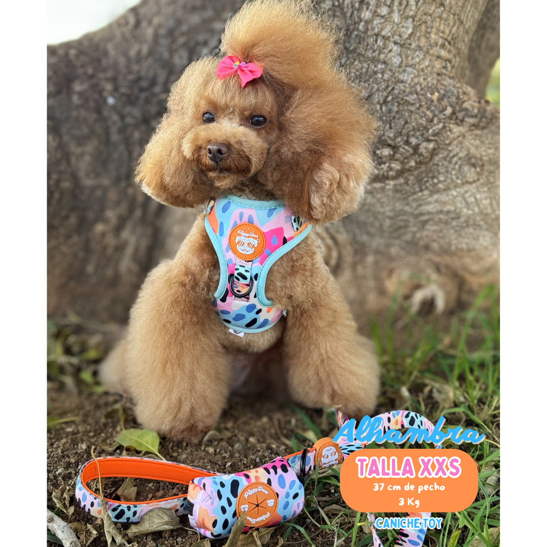 Pack harness + leash + poopbag holder DUNKIN DOGS